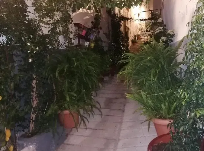 Casa Amat